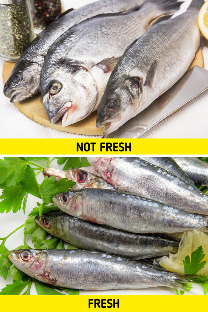 Not fresh, fresh fish